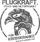 Flugkraft